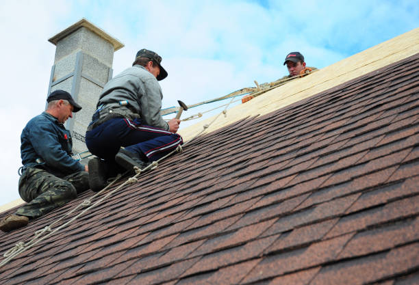 Best Roof Waterproofing Services  in Burlington, NC